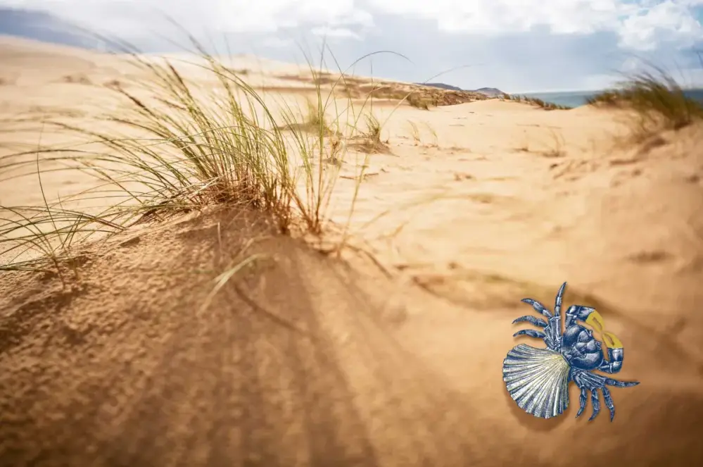 Coquillages & Crustacés